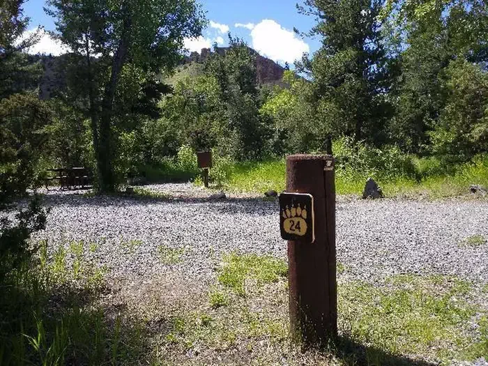 24