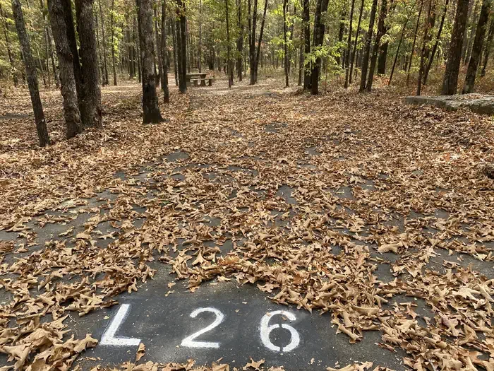 L26