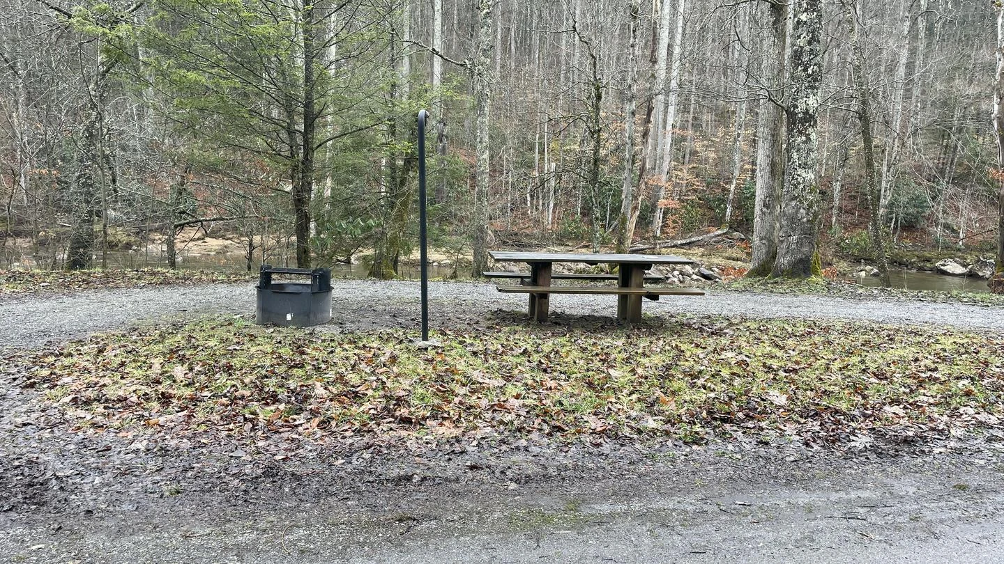 Williams River Campsites
