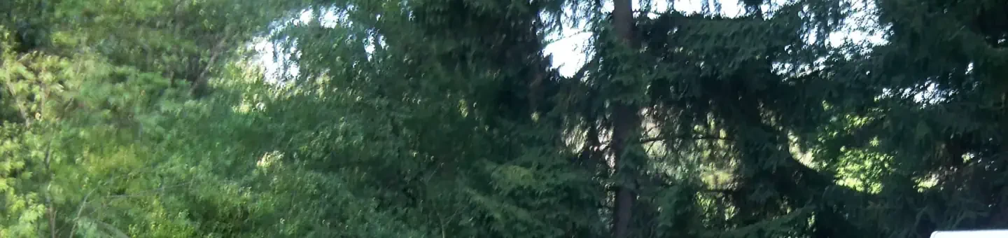 H30