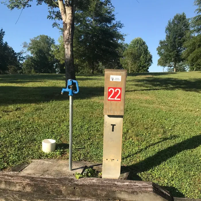 22