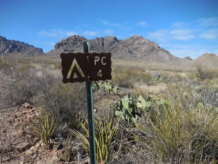 Pine Canyon 4