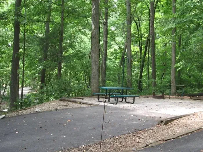 E13