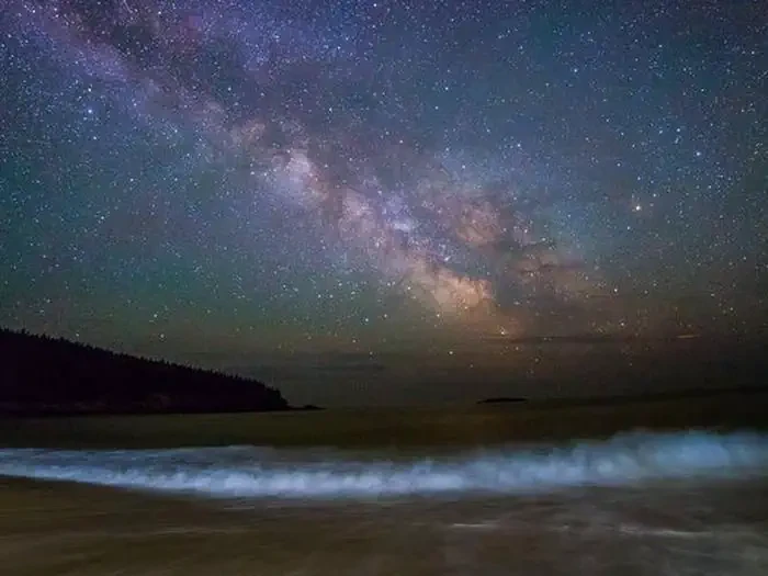 Acadia National Park Ranger Programs