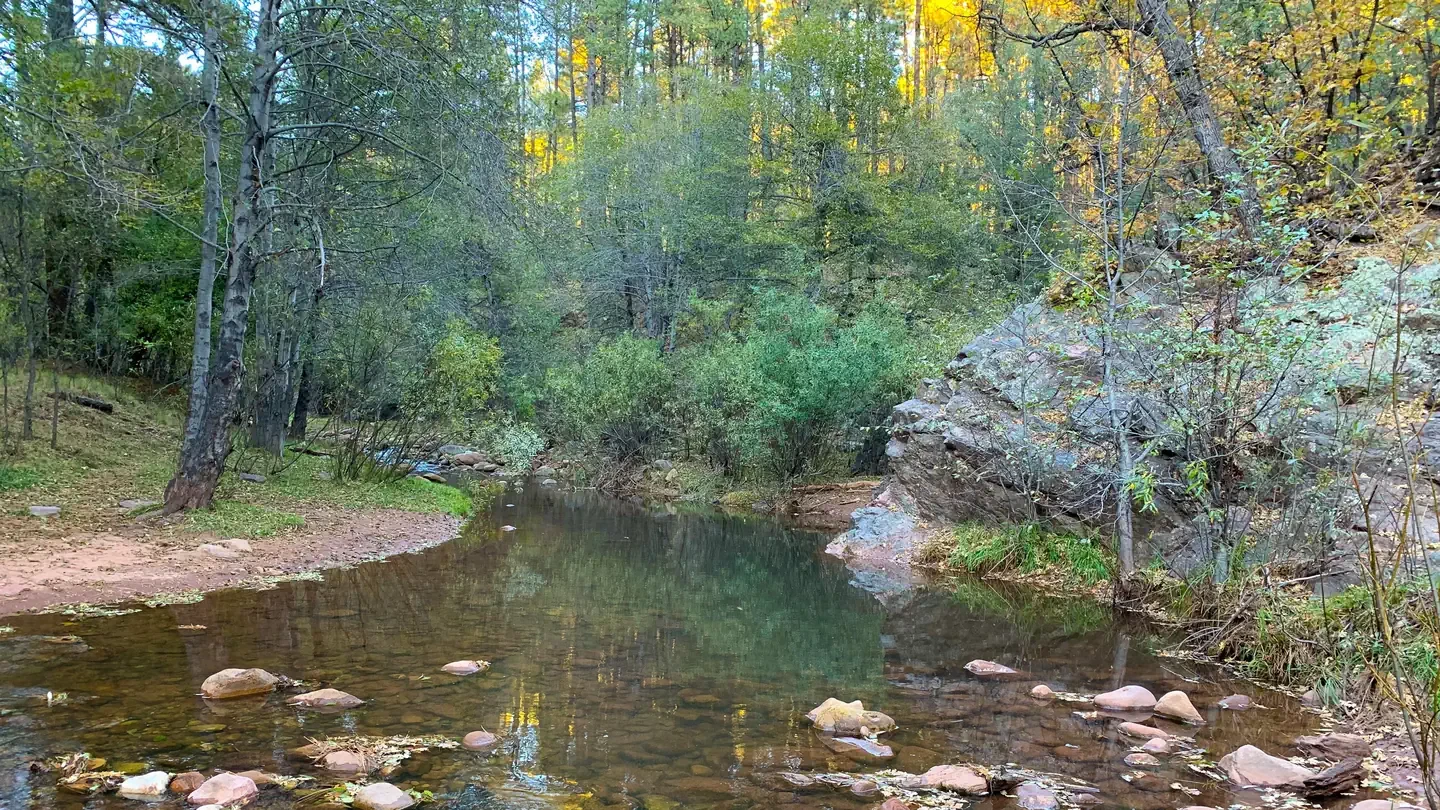Upper Tonto Creek
