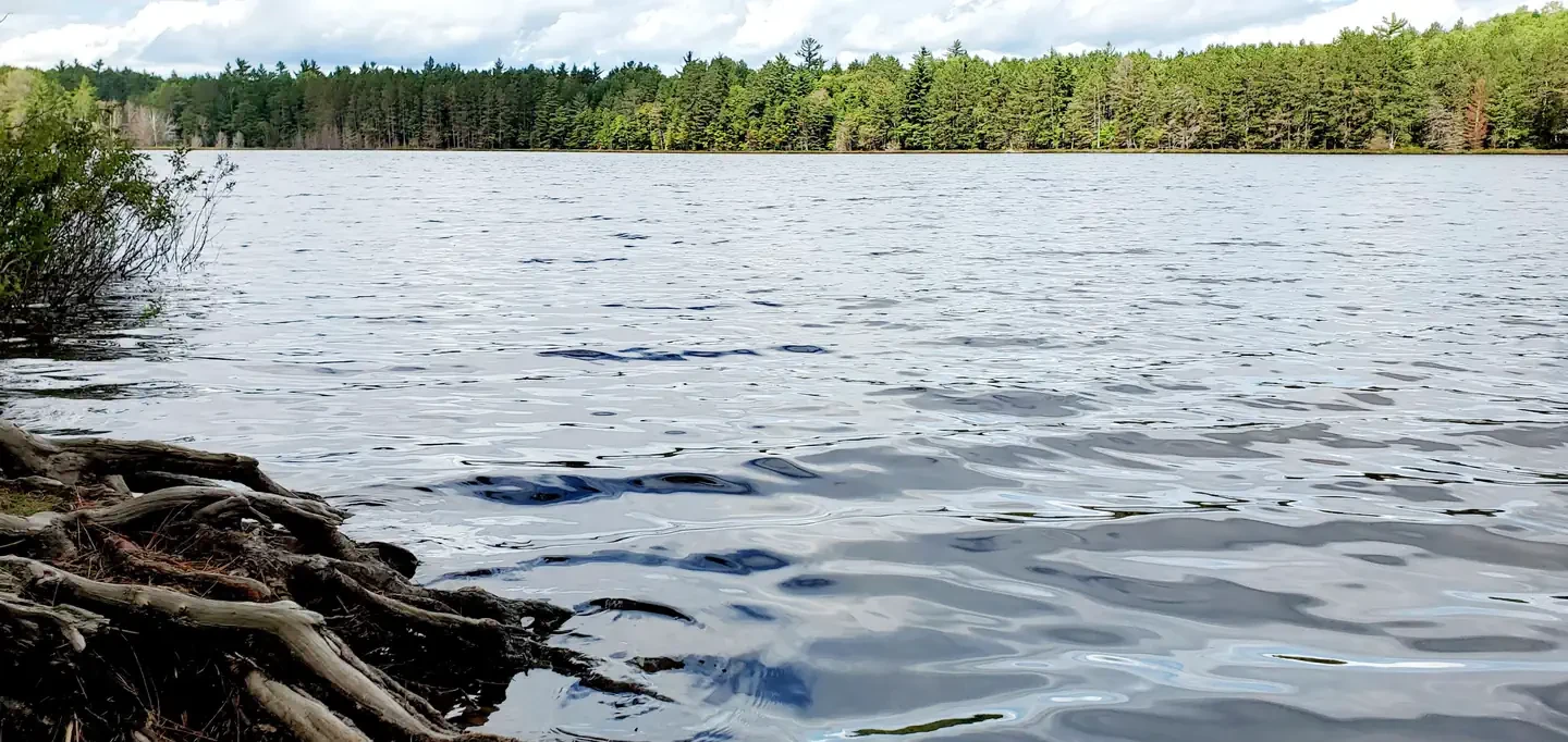 Swan Lake Campsites