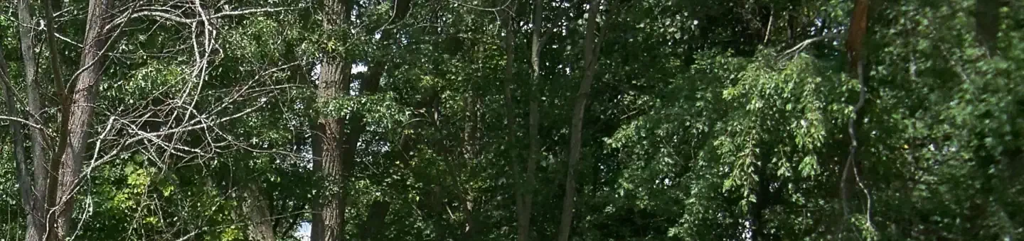 M25