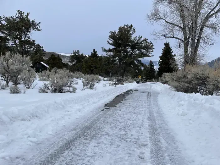 Mammoth Campground (Yellowstone)