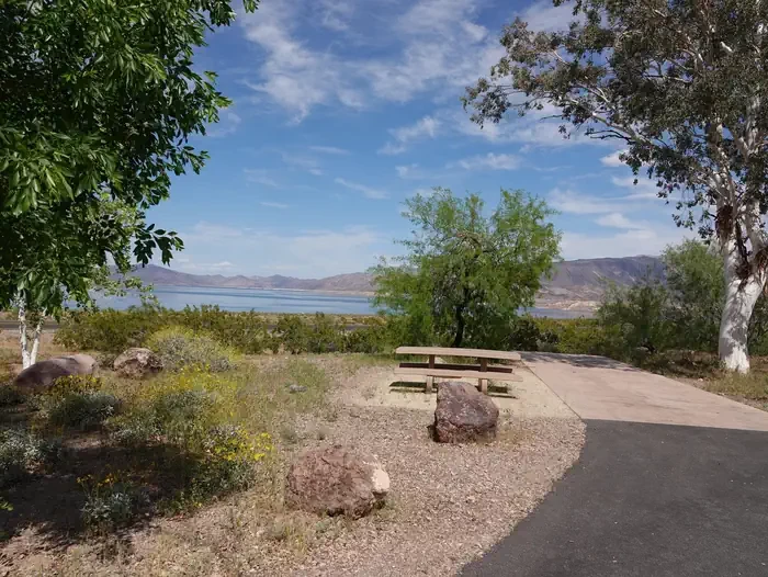Site 79
