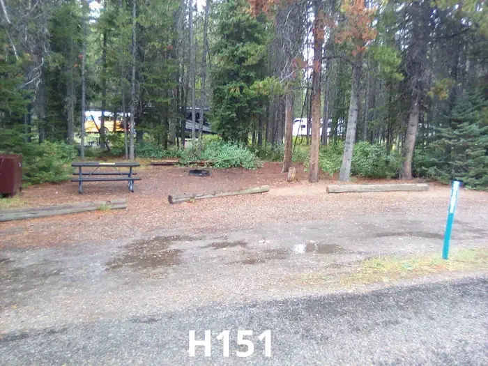 151
