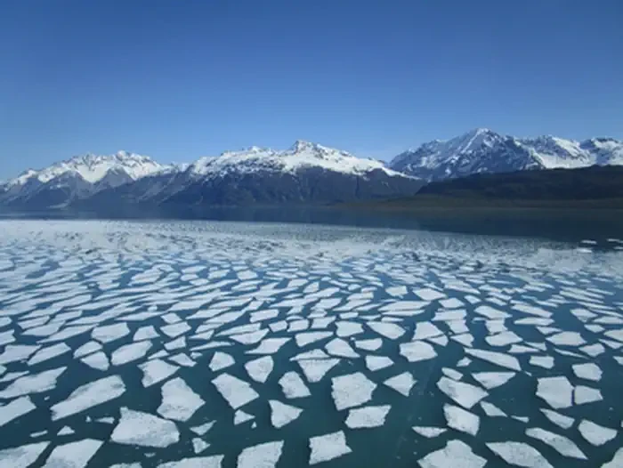 Glacier Bay National Park & Preserve