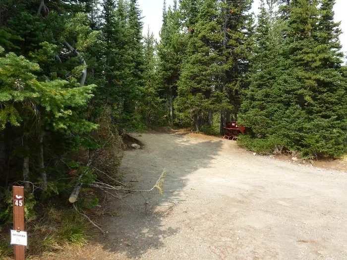 Lewis Lake site #45