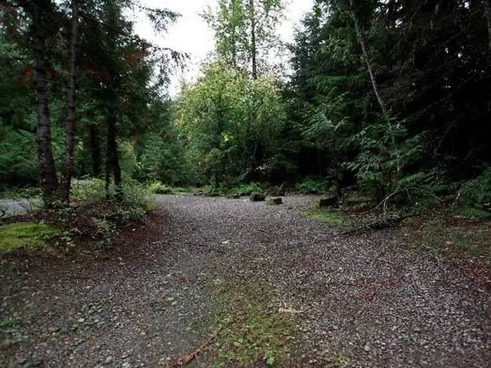 A15