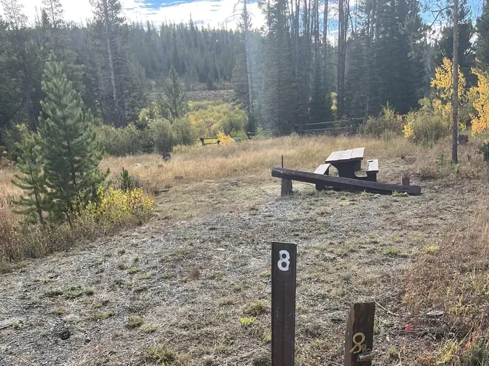 008