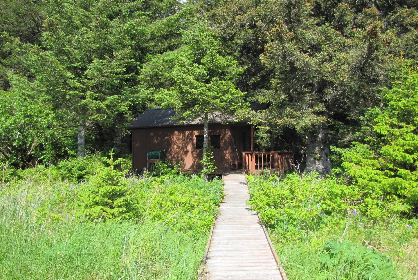 BLUE FOX BAY CABIN