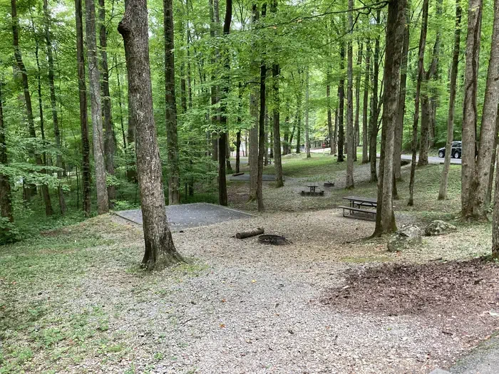 A33