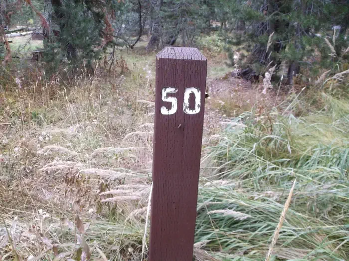 050