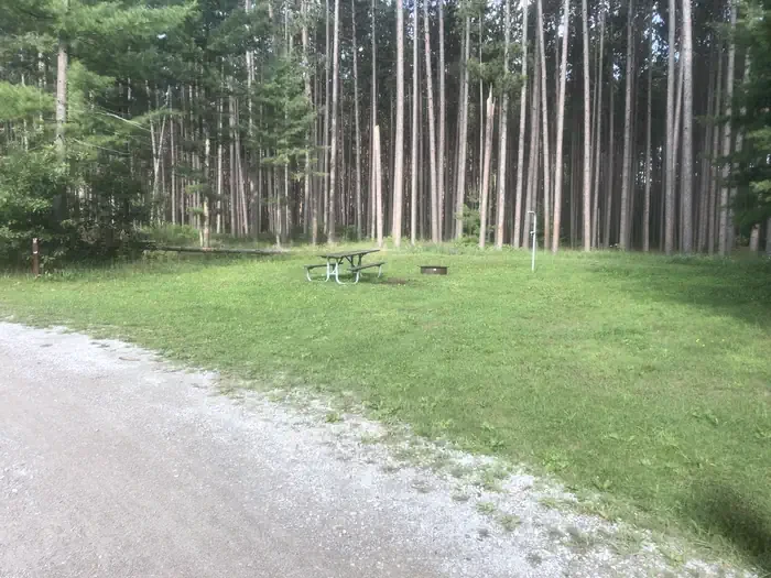 South Branch Trail Camp Group Site