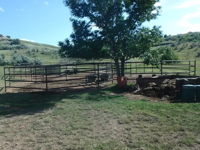 Roundup Group Horse Camp