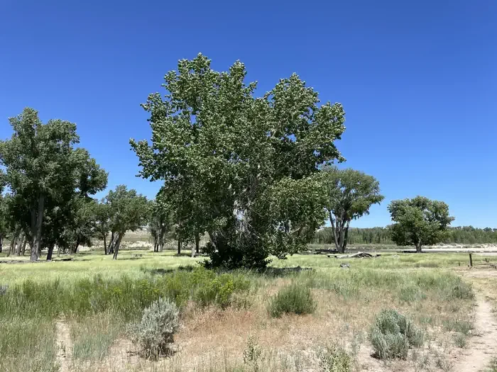 Deerlodge Park Campground