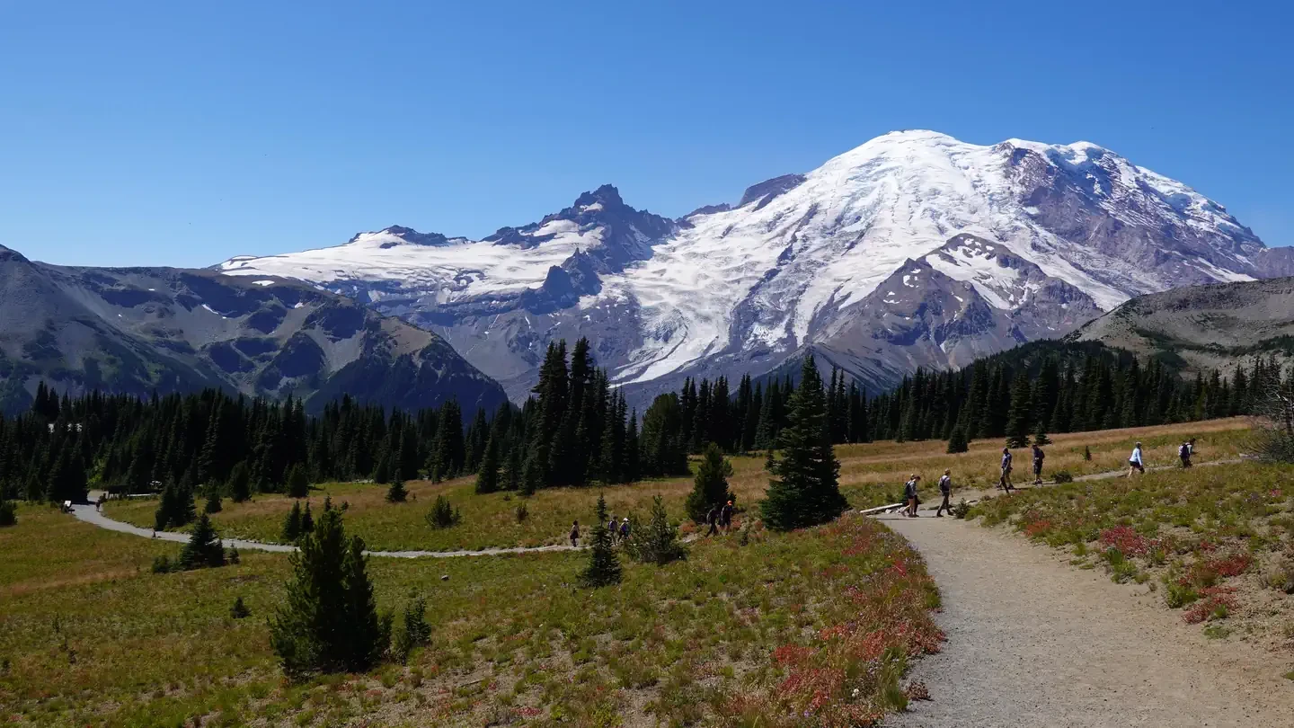 Mount Rainier National Park Timed Entry Reservations