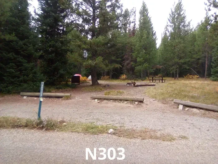 303