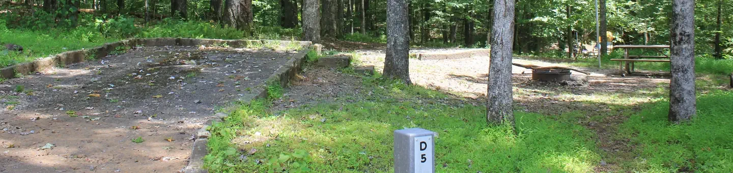 D05