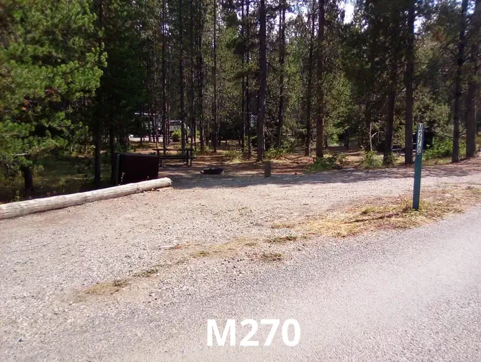 270