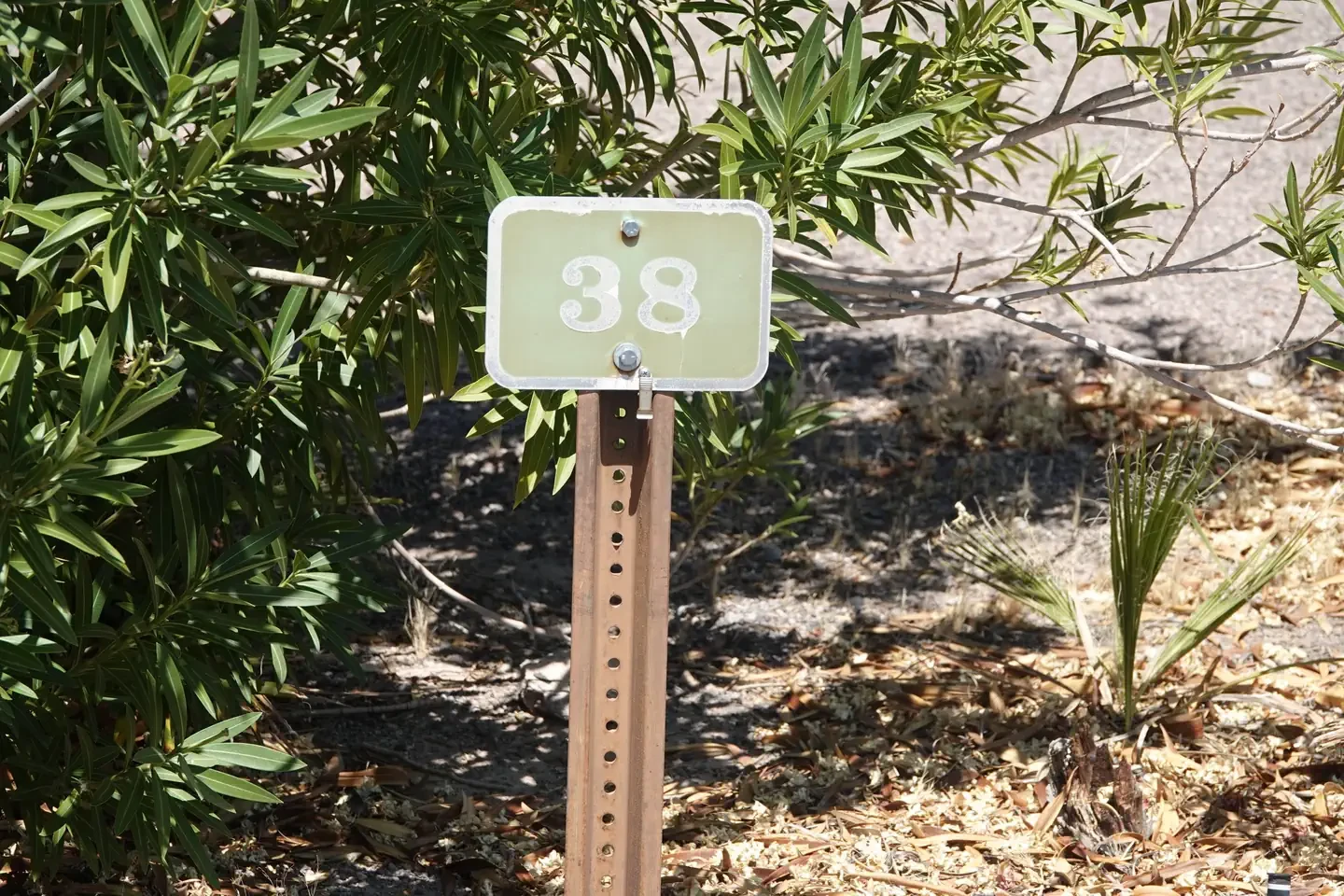 Site 38