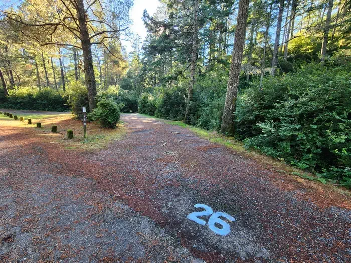 26