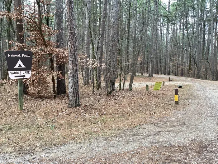 Saddle Lake Campground