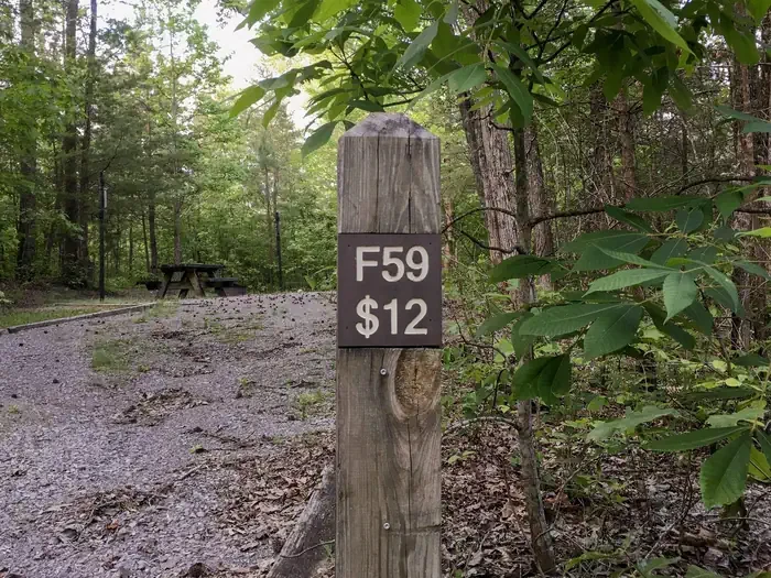 59