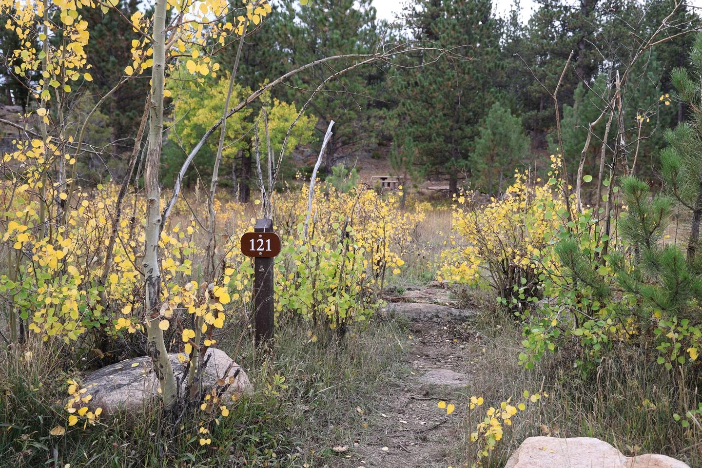 A121