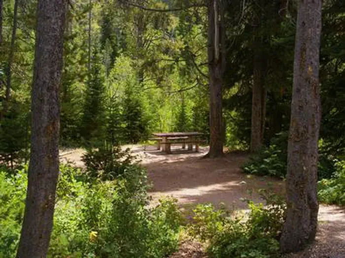Cloverleaf Campground