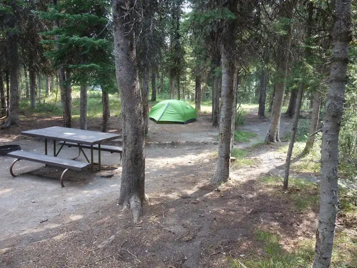 Lewis Lake site #40