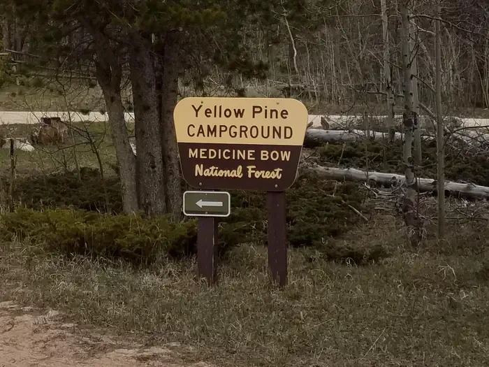 Yellow Pine Campground (WY)