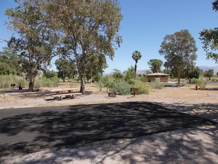 Site 79