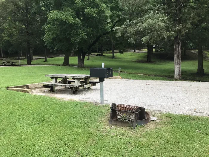 101