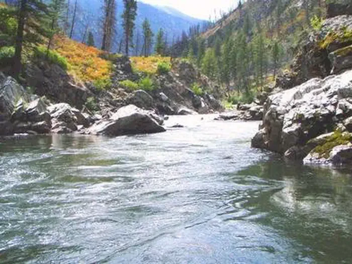 Middle Fork Of The Salmon (4 Rivers)