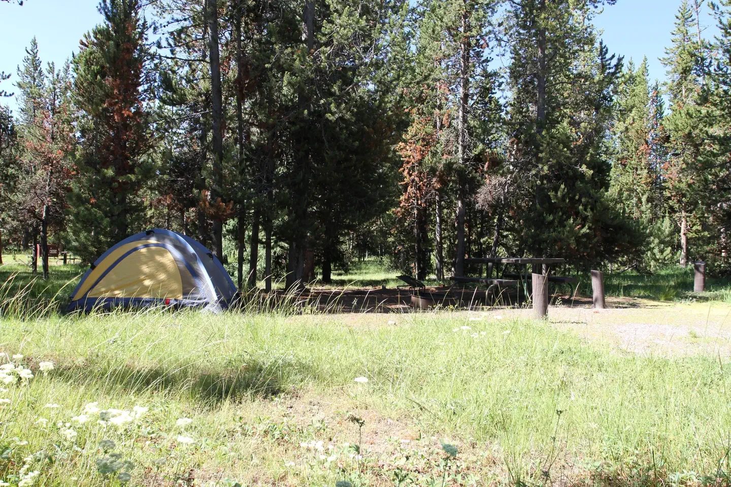 Indian Creek site #11