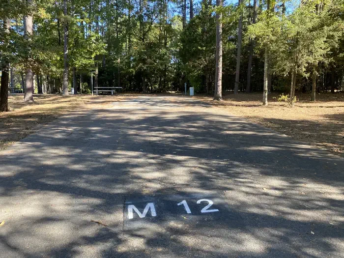 M12