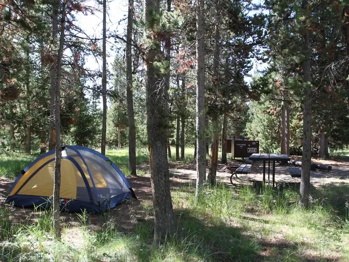 Indian Creek site #5