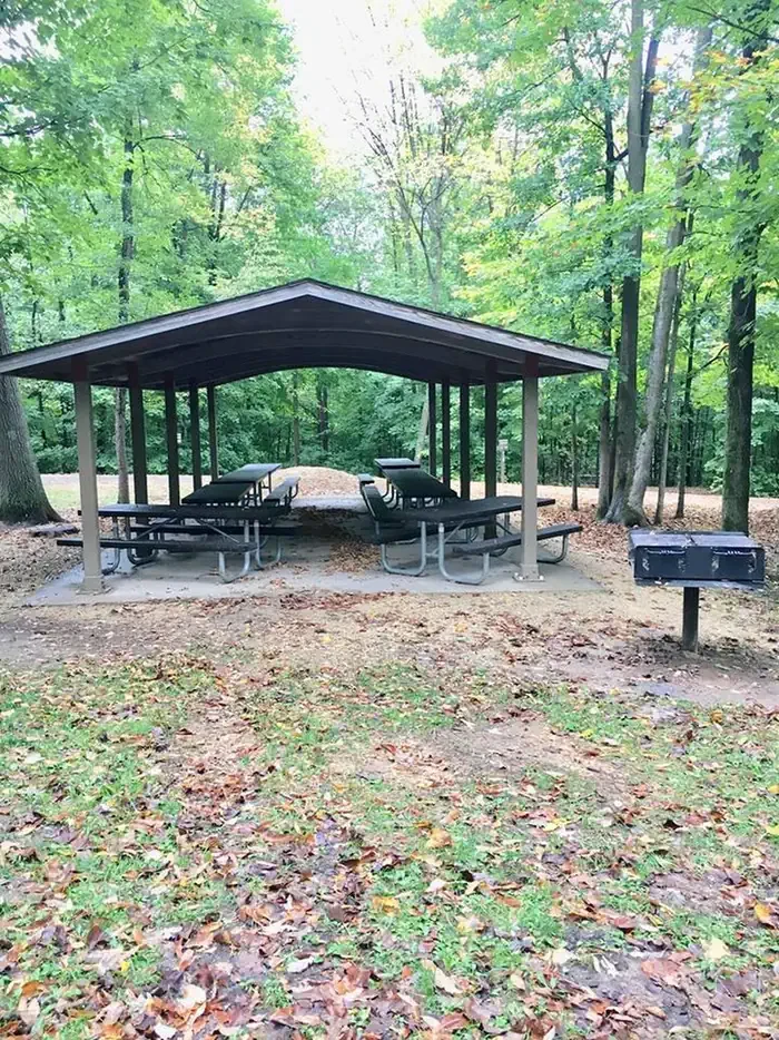 Group Loop (11 sites)