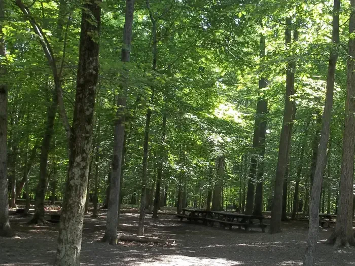 Turkey Run Ridge Group