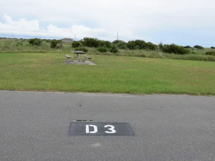D003