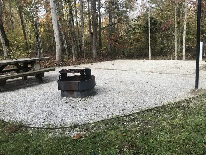 H011