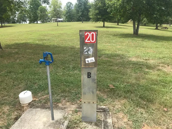 20