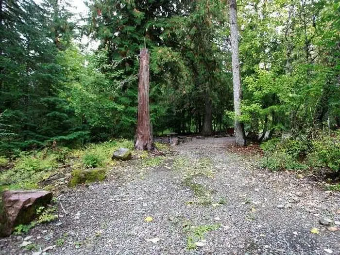 A36
