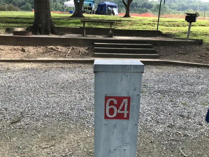 64