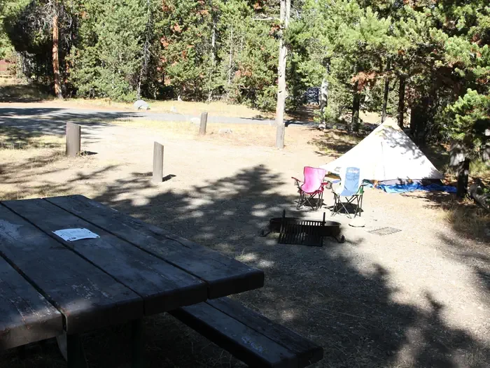 Indian Creek site #43